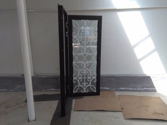 High Quality China Galvanized Metal Door with Double Glass